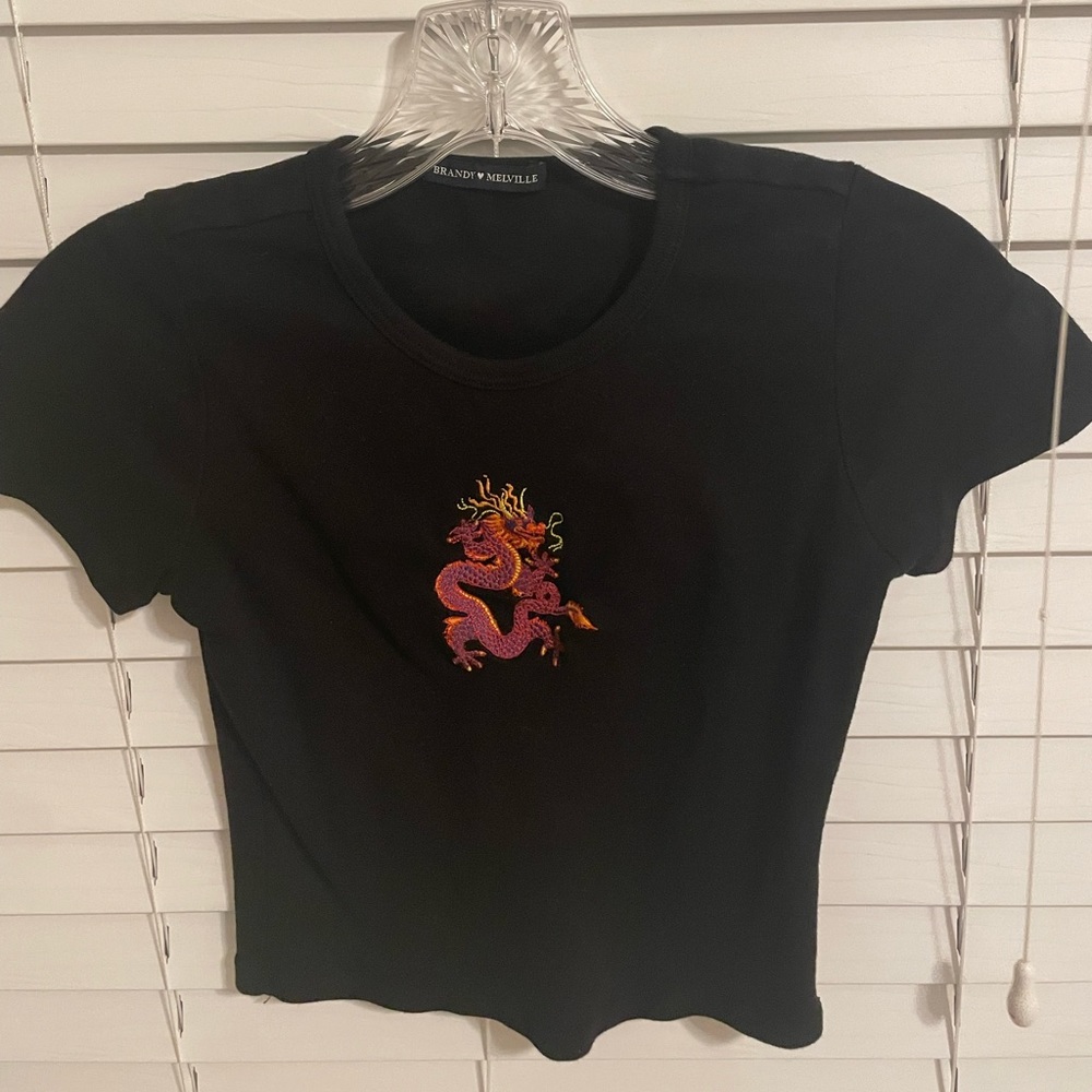 brandy melville dragon crop shirt